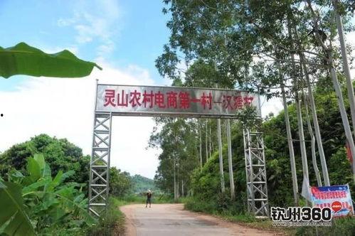 广西钦州头条新农村,新农村建设新篇章，共绘乡村振兴美好蓝图”